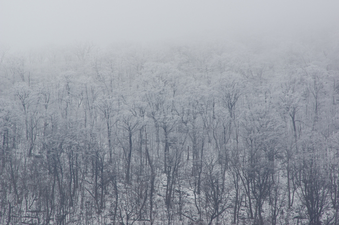 奈良,大峯山系,雪景(K32_5193,500 mm,F13)2015yaotomi_.jpg