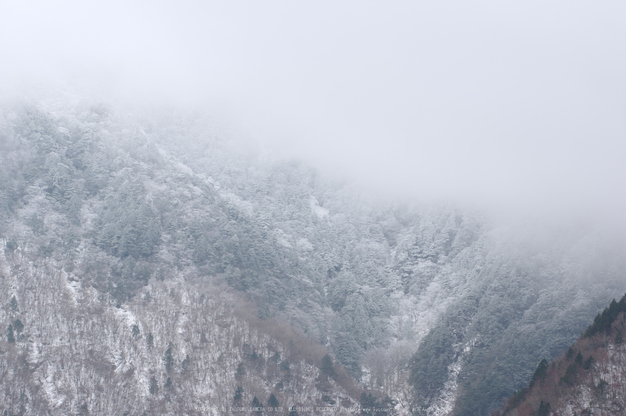 奈良,大峯山系,雪景(K32_5198_2RR,170 mm,F10,20151206yaotomi.jpg
