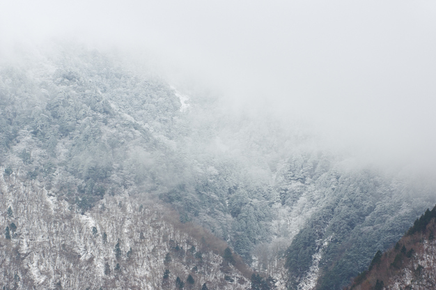 奈良,大峯山系,雪景(K32_5199,170 mm,F10,20151206yaotomi.jpg