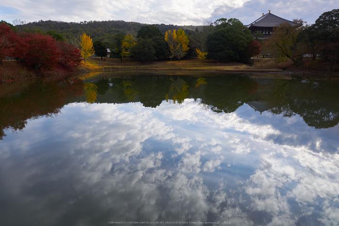 奈良公園,東大寺,紅葉(PB250099,12 mm,F7.1,iso200)2015yaotomi_.jpg