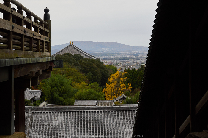 奈良公園,東大寺,紅葉(PB250256,32 mm,F7.1,iso200)2015yaotomi.jpg