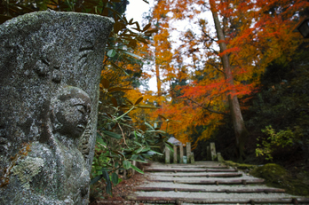 明日香,岡寺,紅葉(DP0Q0030,14 mm,F4,20151206yaotomi.jpg