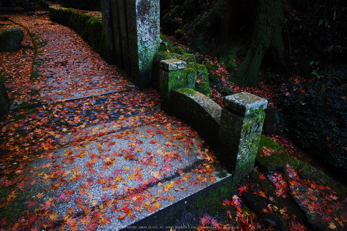 明日香,岡寺,紅葉(DP0Q0193,14 mm,F5.6,20151206yaotomi.jpg