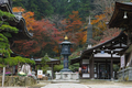 明日香,岡寺,紅葉(DP3Q1378f,50 mm,F7.1,20151206yaotomi.jpg