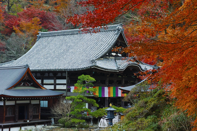 明日香,岡寺,紅葉(DP3Q1412,50 mm,F7.1,20151206yaotomi.jpg