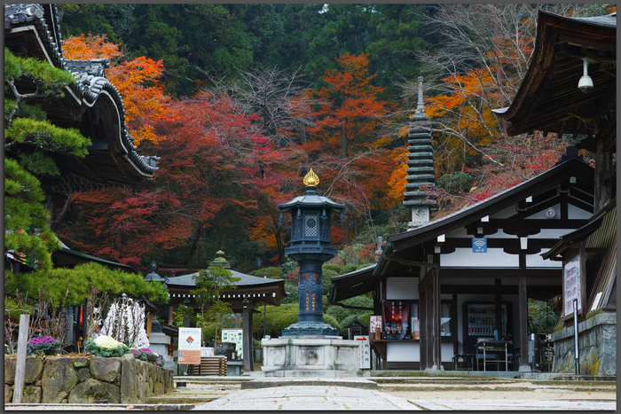 お写ん歩: SIGMA dp3 Quattroアーカイブ お写ん歩: SIGMA dp3 Quattroアーカイブ
