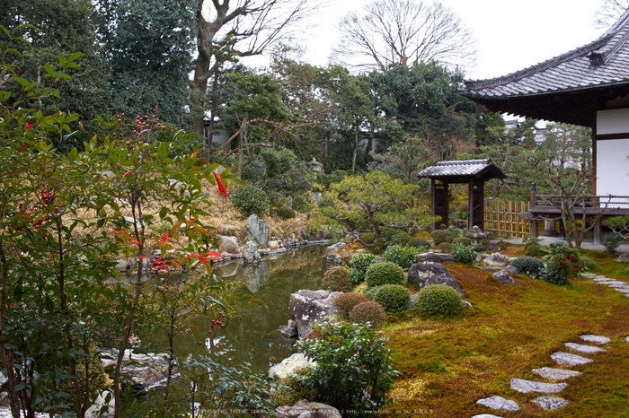 京都祇園,両足院(K32_5593,21 mm,F8)2016yaotomi.jpg