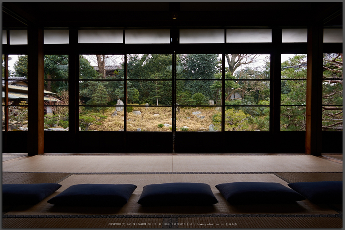 京都祇園,両足院(K32_5599,15-mm,F7.1)2016yaotomi_T.jpg