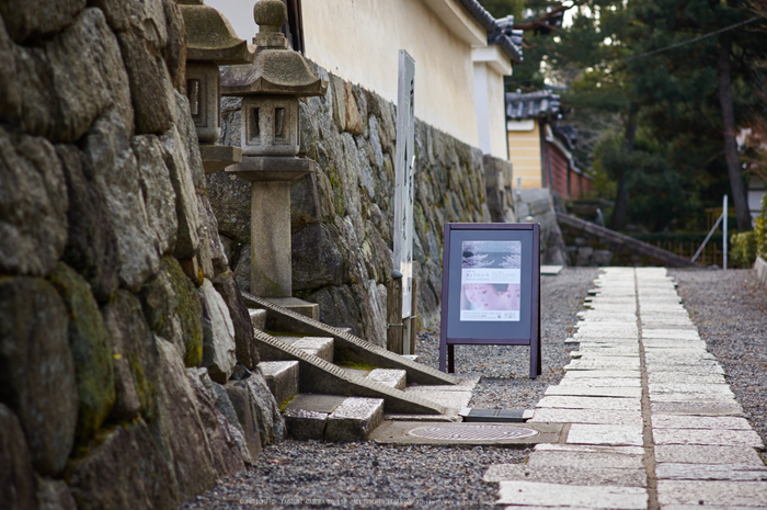 京都祇園,両足院(K32_5630,70 mm,F2.8)2016yaotomi.jpg