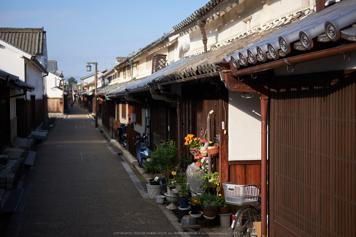 今井町,歩く(DSCF1789,35 mm,F2,iso200)2016yaotomi.jpg