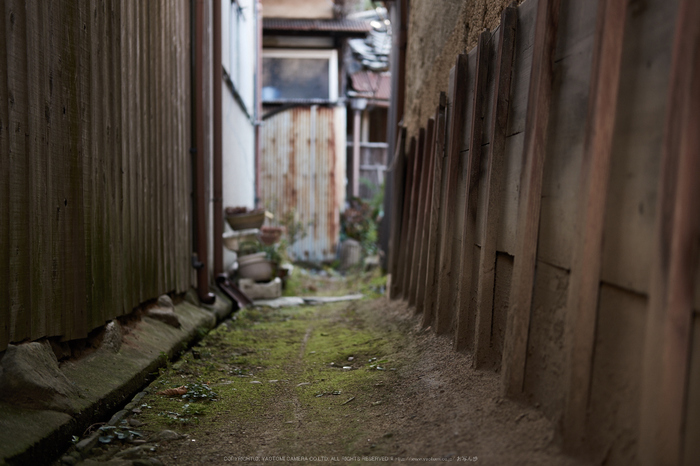 今井町,歩く(DSCF1807,35 mm,F2,iso200)2016yaotomi.jpg