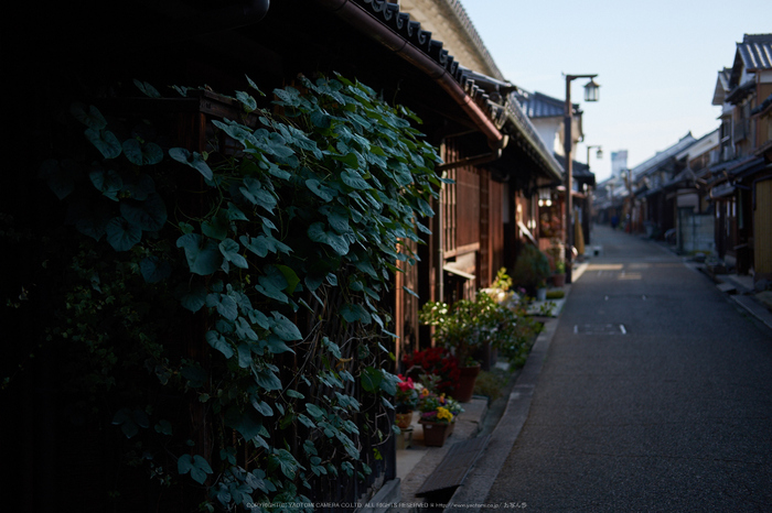 今井町,歩く(DSCF1839,35 mm,F2,iso200)2016yaotomi.jpg
