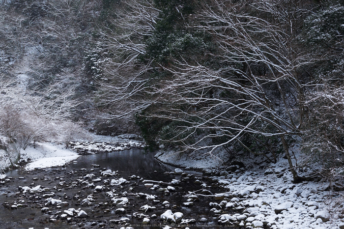 奈良,室生寺,雪景(EM100022,23 mm,F6.3,iso200)2016yaotomi.jpg