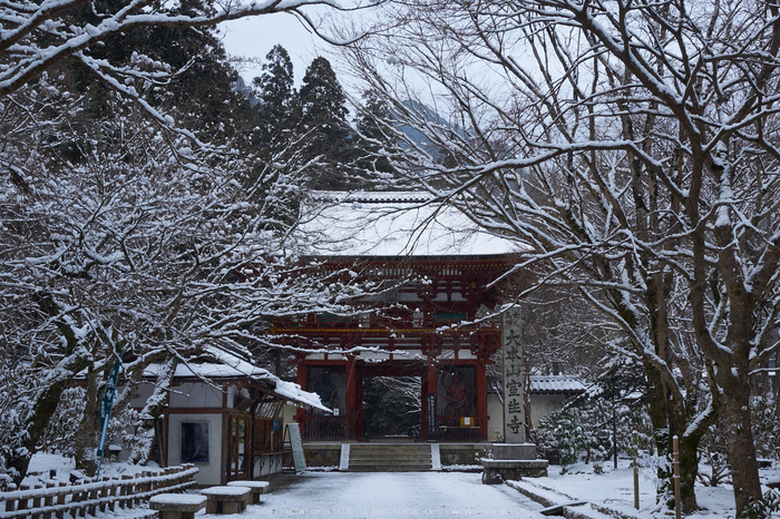 奈良,室生寺,雪景(EM100047,20 mm,F7.1)2016yaotomi.jpg