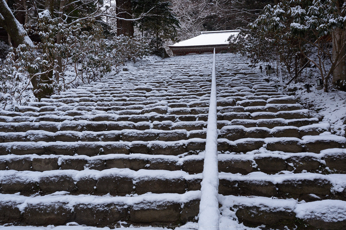 奈良,室生寺,雪景(EM100068,14 mm,F8,iso200)2016yaotomi.jpg