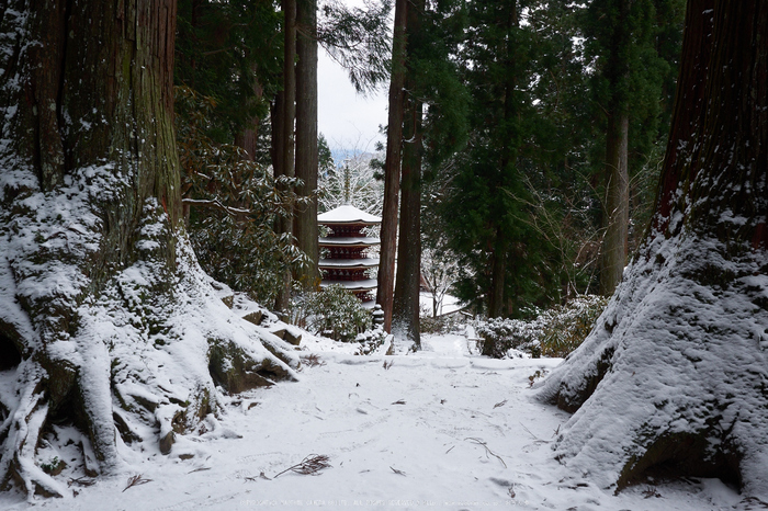 奈良,室生寺,雪景(EM100149,15 mm,F7.1)2016yaotomi.jpg