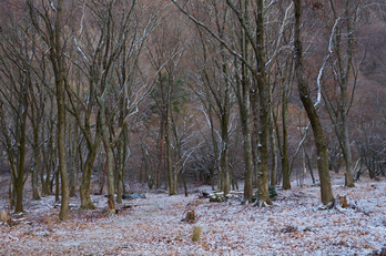 屏風岩公苑,初日の出(P1050185,19 mm,F8,20151206yaotomi.jpg