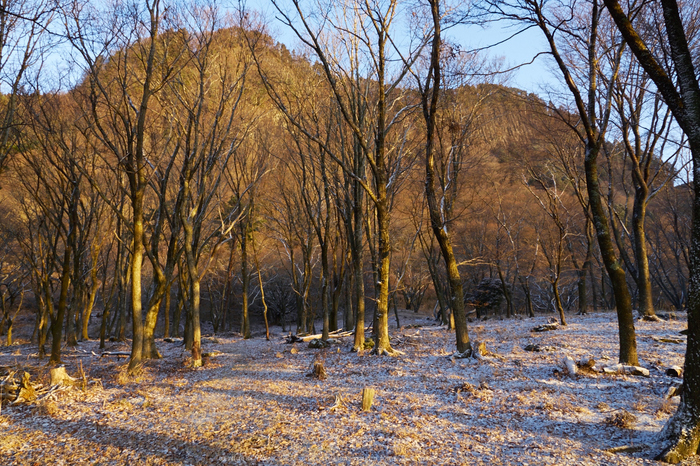 屏風岩公苑,初日の出(P1050264,12 mm,F6.3,20151206yaotomi.jpg