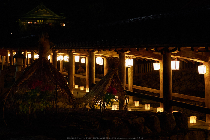 長谷寺,観音万燈会(P1040870,18 mm,F2.8,iso1600)2016yaotomi.jpg