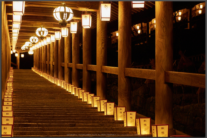 長谷寺,観音万燈会(P1040907,35-mm,F3.2,iso800)2016yaotomi_T.jpg