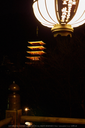 長谷寺,観音万燈会(P1040972,27 mm,F2.8,iso1600)2016yaotomi.jpg