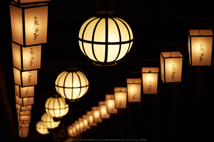 長谷寺,観音万燈会(P1050010,100 mm,F3.2,iso1600)2016yaotomi.jpg