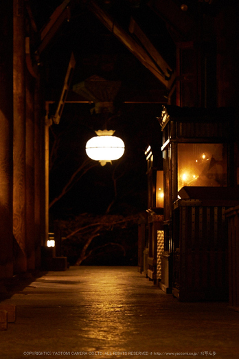 長谷寺,観音万燈会(P1050014,72 mm,F3.2,iso1600)2016yaotomi.jpg