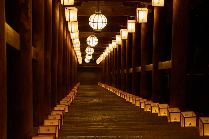 長谷寺,観音万燈会(P1050027,35 mm,F4,iso800)2016yaotomi.jpg