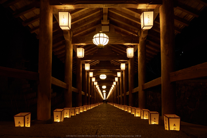 長谷寺,観音万燈会(P1050044,12 mm,F5,iso800)2016yaotomi.jpg