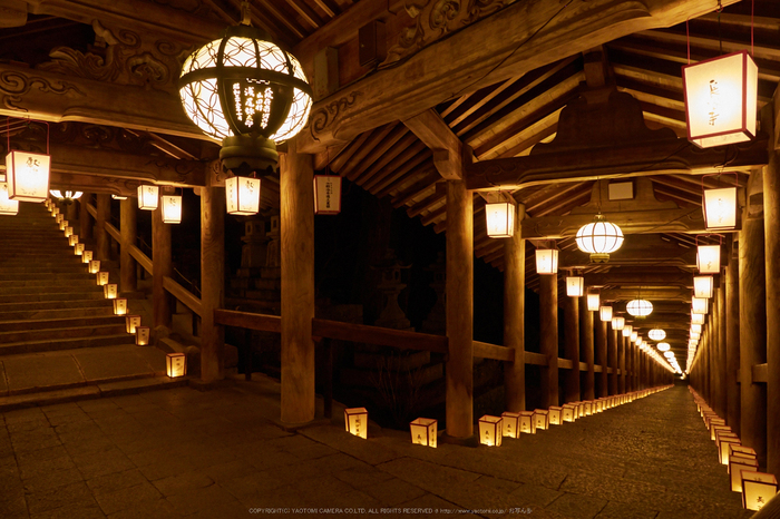 長谷寺,観音万燈会(P1050054,12-mm,F5,iso800)2016yaotomi_s.jpg