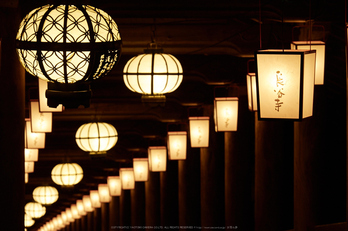 長谷寺,観音万燈会(P1050079,85 mm,F5,iso800)2016yaotomi.jpg