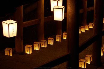 長谷寺,観音万燈会(P1050086,72 mm,F3.5,iso800)2016yaotomi.jpg