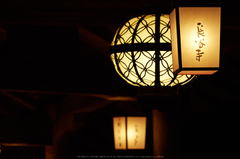 長谷寺,観音万燈会(P1050091,85 mm,F3.2,iso800)2016yaotomi.jpg