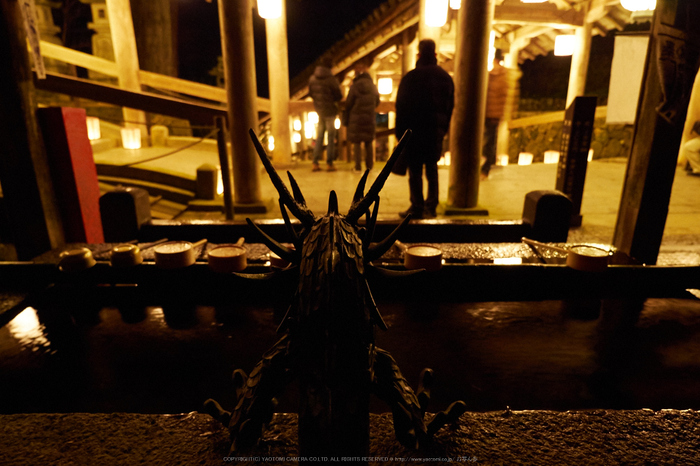 長谷寺,観音万燈会(P1050094,12 mm,F3.2,iso1600)2016yaotomi.jpg