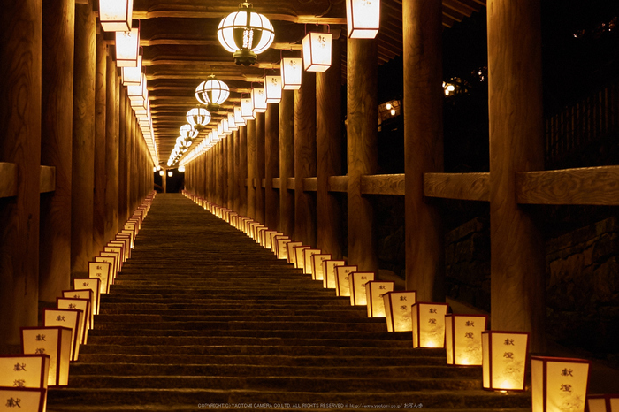 長谷寺,観音万燈会(P1050157,35 mm,F4,iso1600)2016yaotomi.jpg