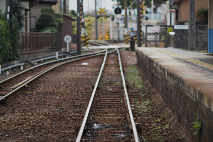 あすなろう鉄道(PENF0041,75 mm,F1.8,iso200)2016yaotomi.jpg