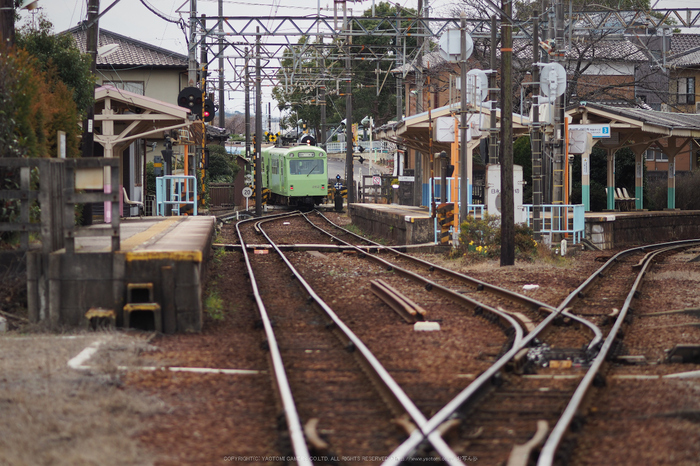 あすなろう鉄道(PENF0129,75 mm,F1.8,iso200)2016yaotomi.jpg