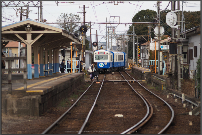 あすなろう鉄道(PENF0162,75-mm,F1.8,iso200)2016yaotomi_T.jpg