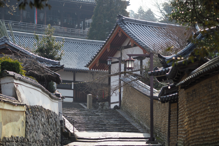 二月堂,梅(P2270109,75 mm,F2.2,iso200)2016yaotomi_.jpg