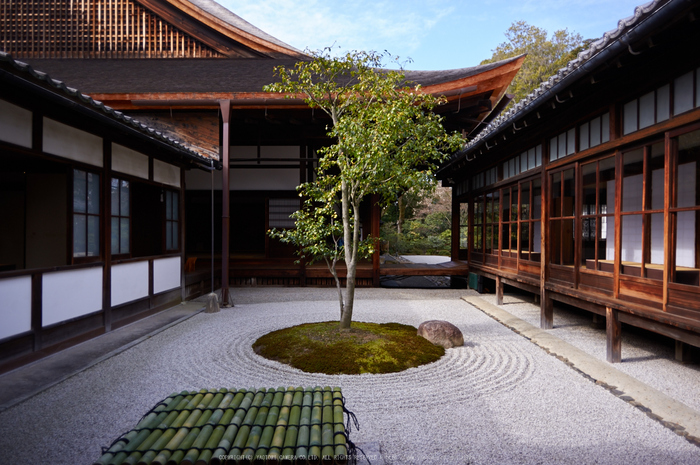 京都祇園,建仁寺,両足院(K32_5676,15 mm,F4)2016yaotomi.jpg