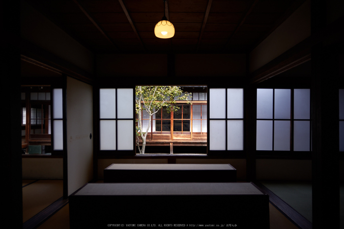 京都祇園,建仁寺,両足院(K32_5677,15 mm,F4)2016yaotomi.jpg