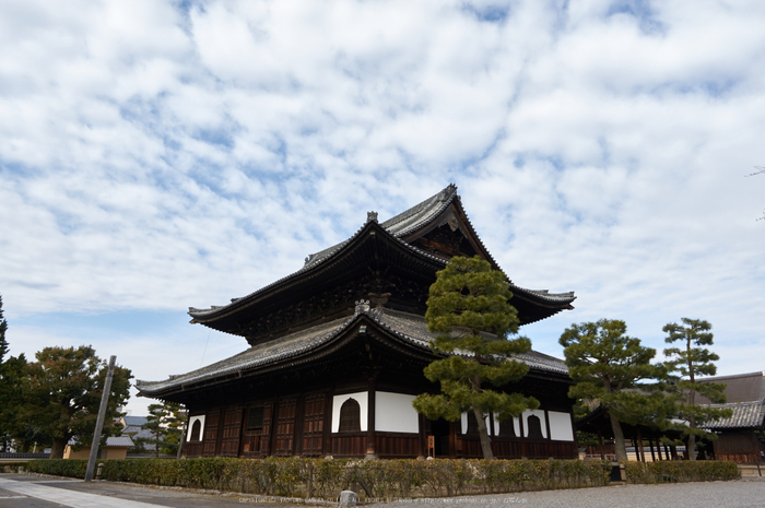 京都祇園,建仁寺,両足院(K32_5705,15 mm,F7.1)2016yaotomi.jpg