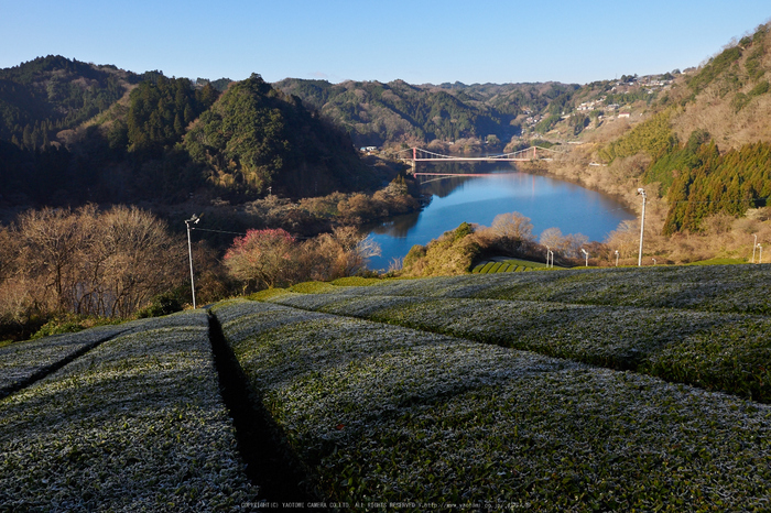 奈良山添,日の出(EM160244,12 mm,F8)2016yaotomi.jpg