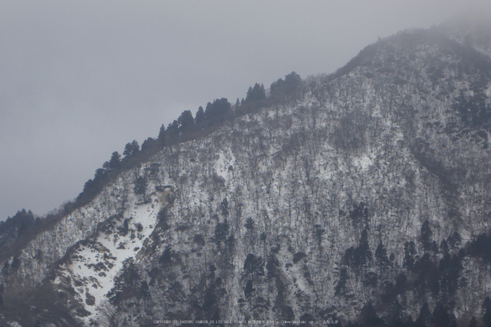 御在所岳,雪景(P1000214(RAW),51 mm,F5.7)2016yaotomi.jpg