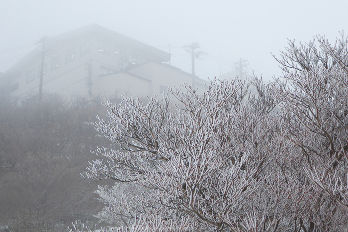 御在所岳,雪景(P1000307(RAW),12 mm,F4.5)2016yaotomi.jpg