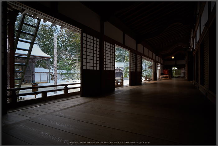 お写ん歩: Carl Zeiss Milvus 21mm F2.8アーカイブ