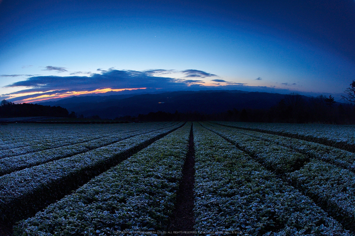 奈良山添,日の出(EM160008 (2),8 mm,F9,iso200)2016yaotomi.jpg