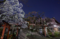 氷室神社,桜(EM130005)12 mm,F8,2 分 1 秒,iso200_2016yaotomi 1.jpg