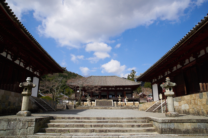 當麻寺護念院,桜(EM160403)2016yaotomi.jpg