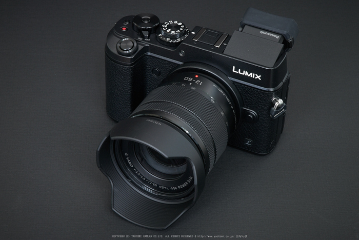 LUMIX G VARIO 12-60mm/F3.5-5.6 H-FS12060